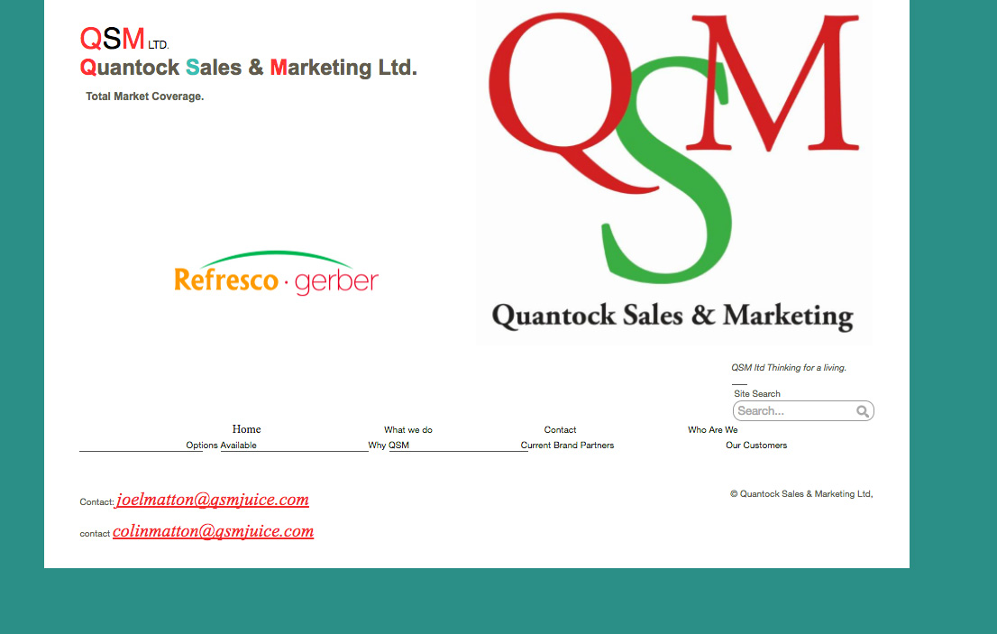 The old QSM website