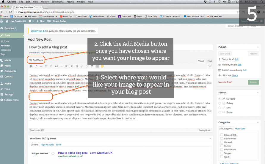 Adding an Image to a WordPress Blog Post