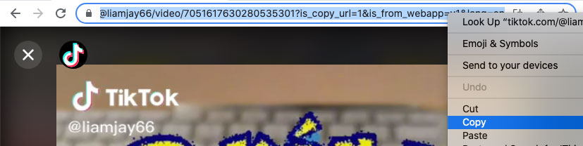 An example of how to copy a TikTok URL (link)