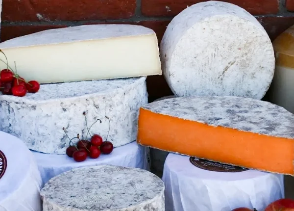 Somerset Cheese Co.