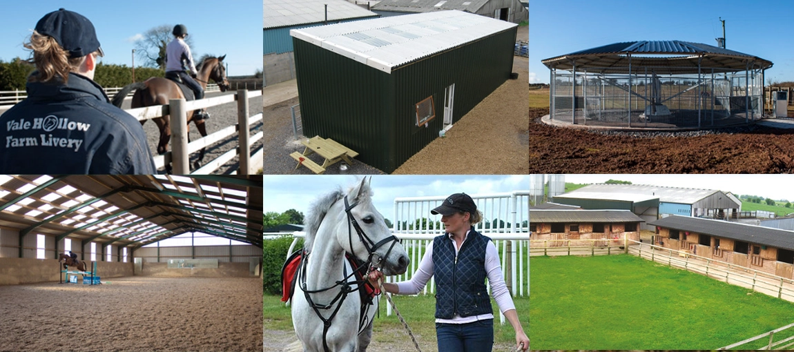 Vale Hollow Farm Livery photography
